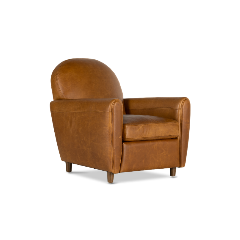 this is an image of a leather chair