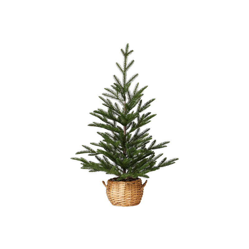 this is an image of a christmas tree