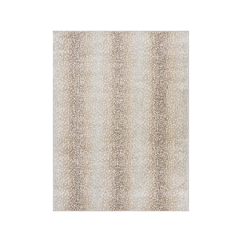 this is an image of a rug
