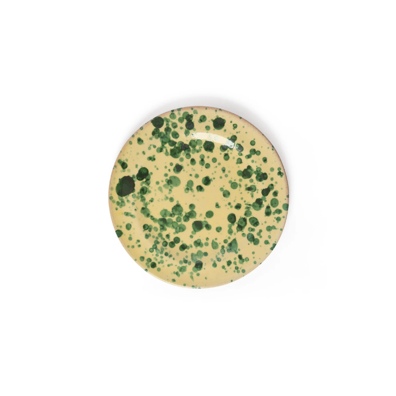 this is an image of a splatter salad plate